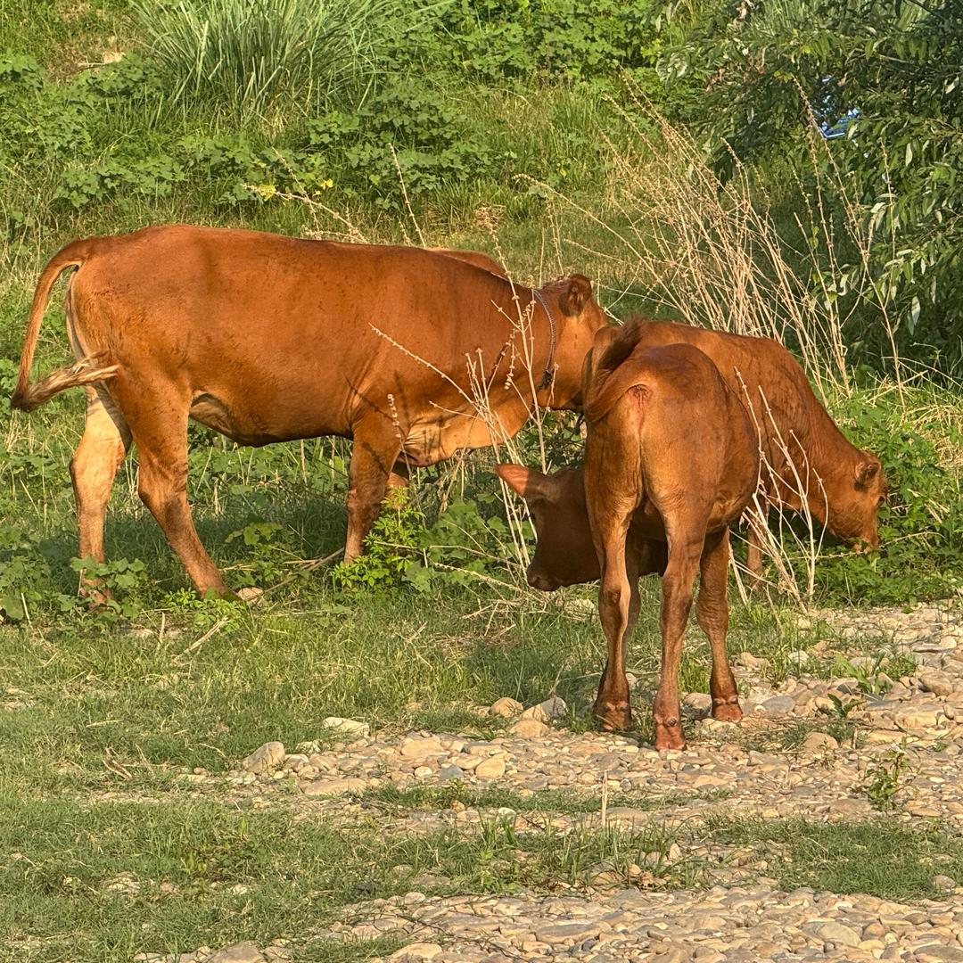 门缝里看肌肉💪帅哥