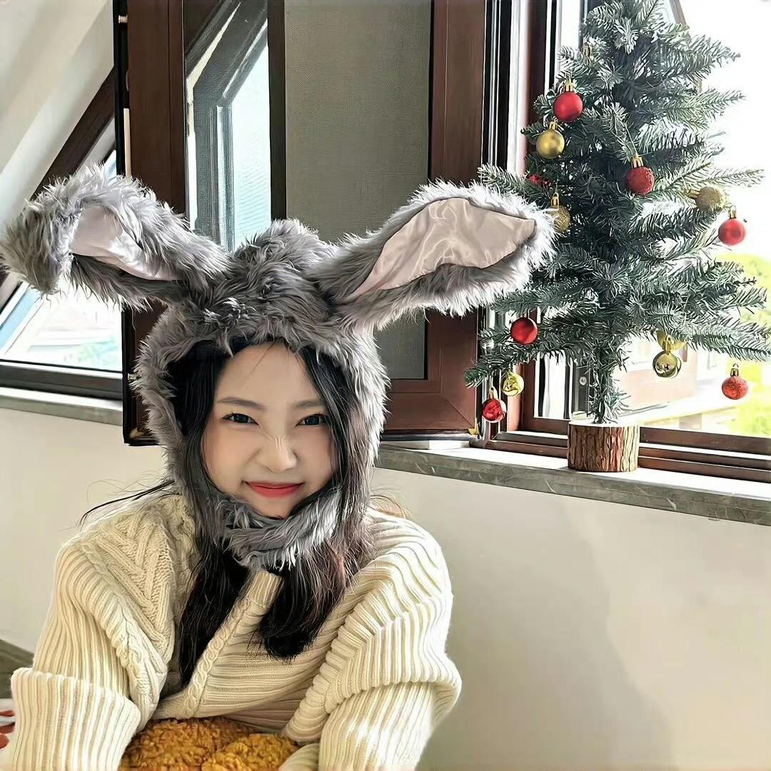 桐