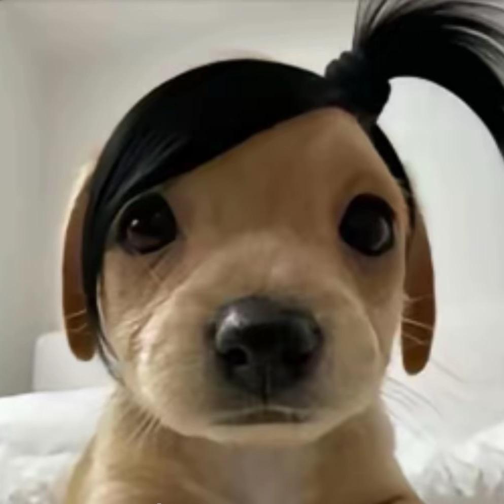 老白菜茶