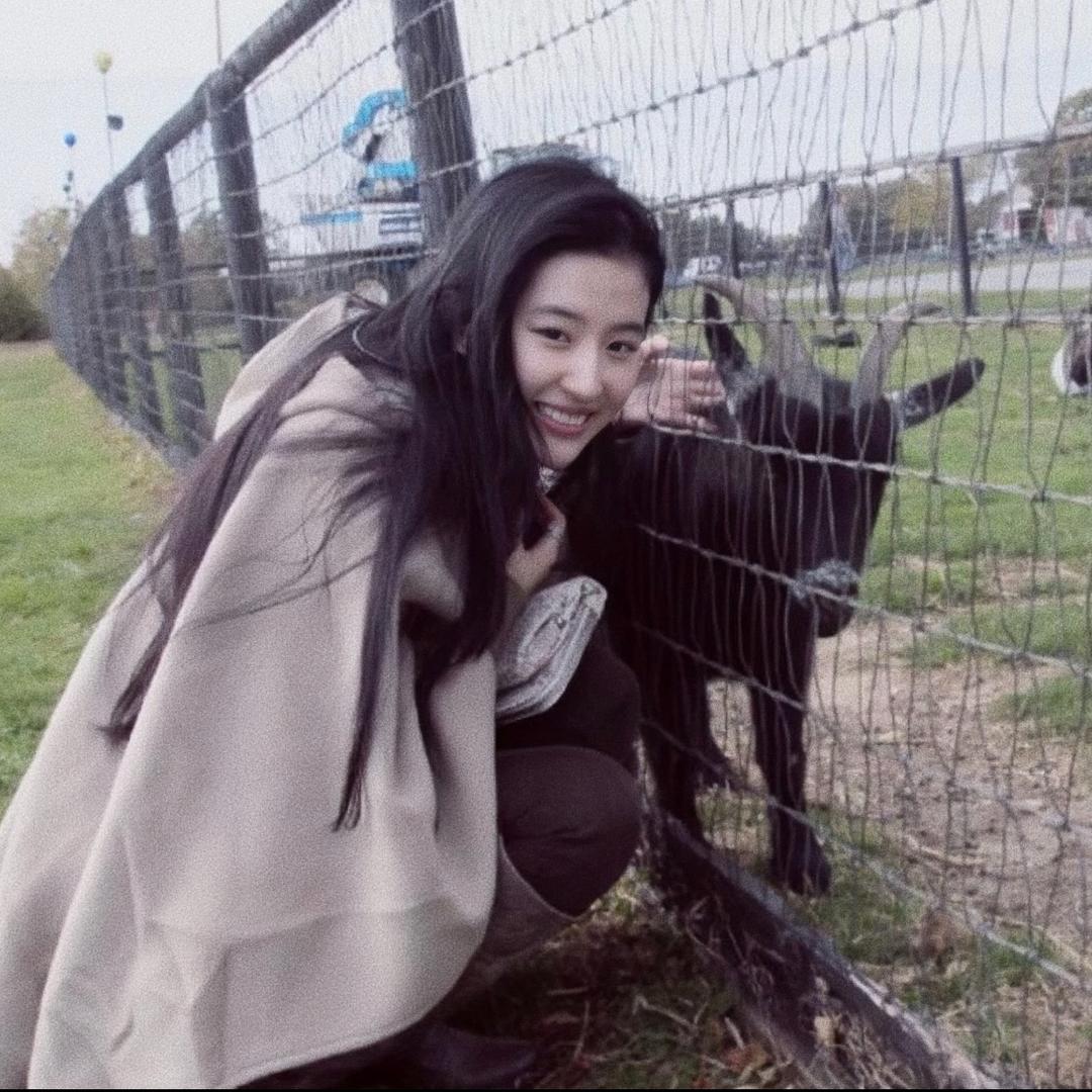 🐶makase