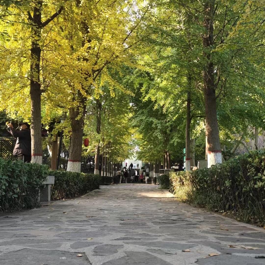 鲫鲤影视