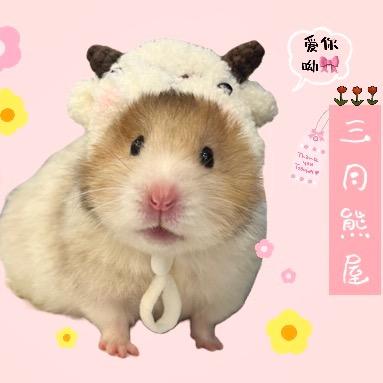 三月爱吃鸡爪（出熊