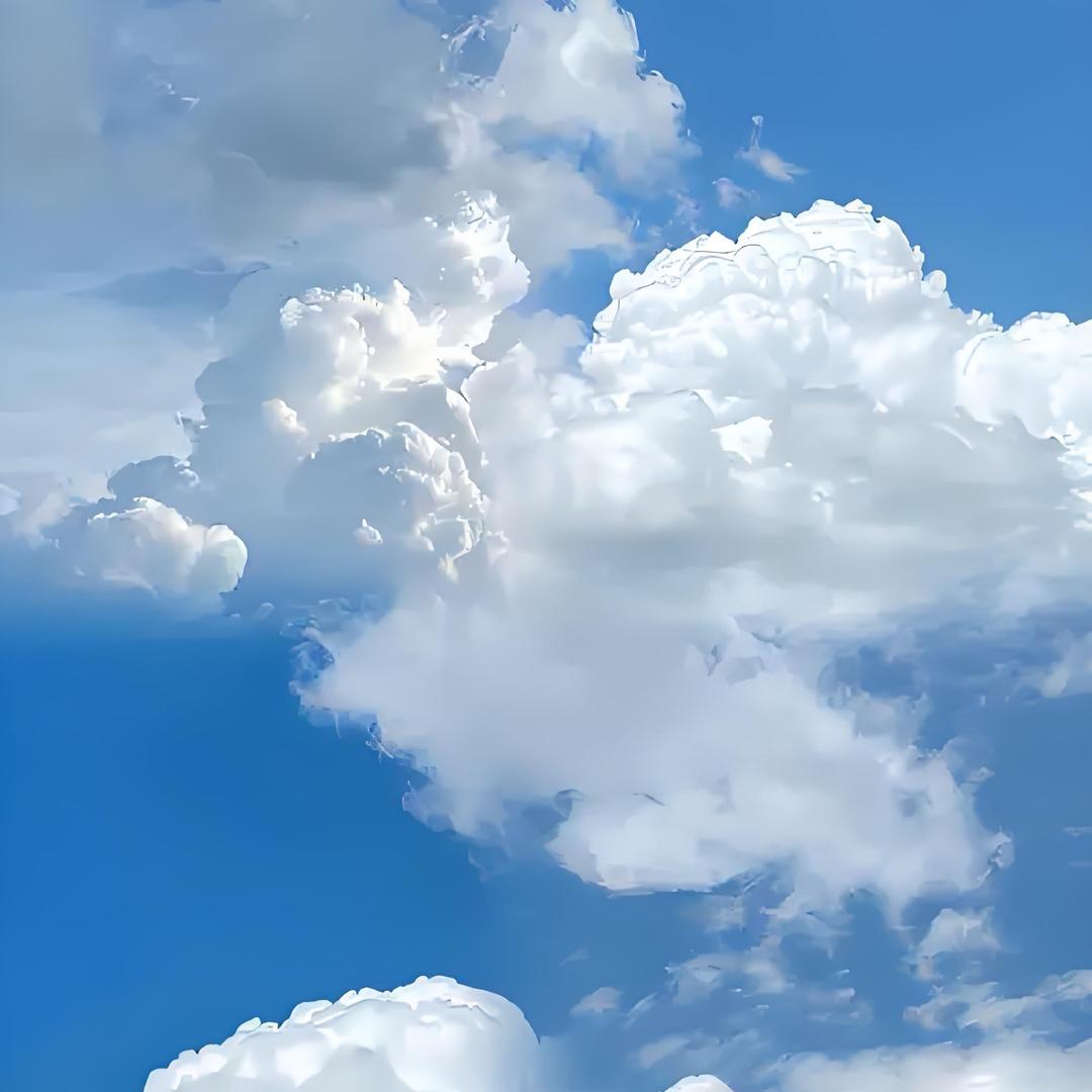 雾里看花