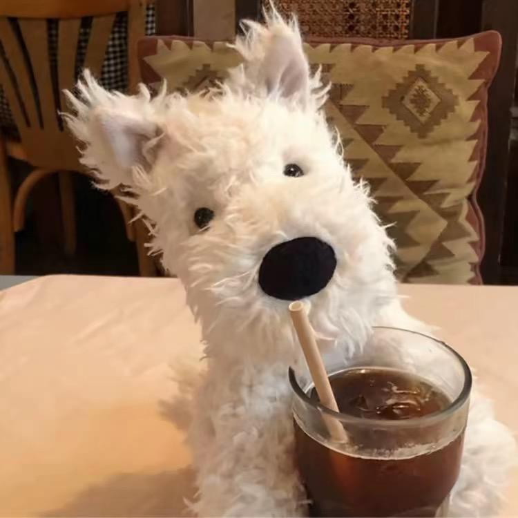 Rankle（无畏契约手游）