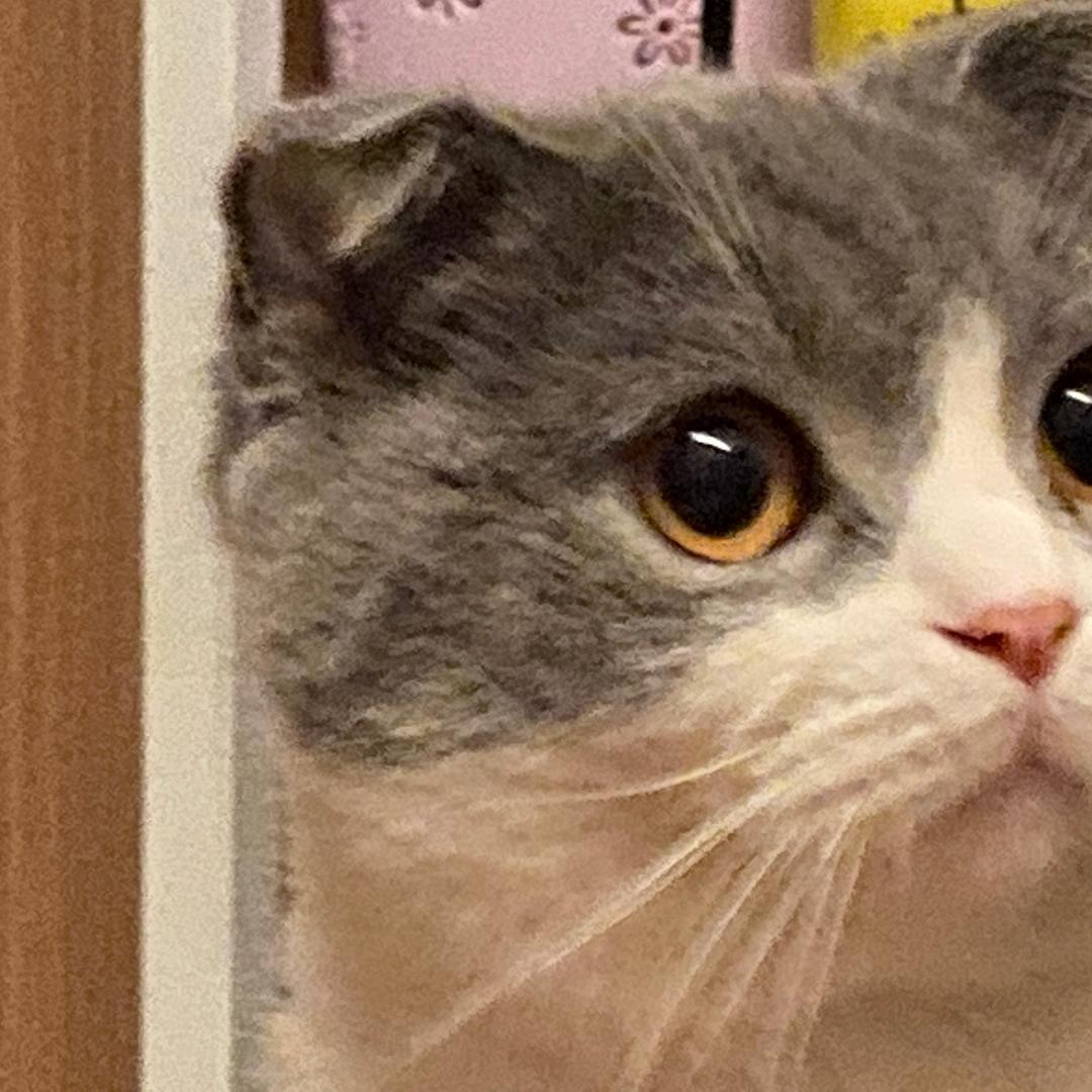 打虎三兄弟