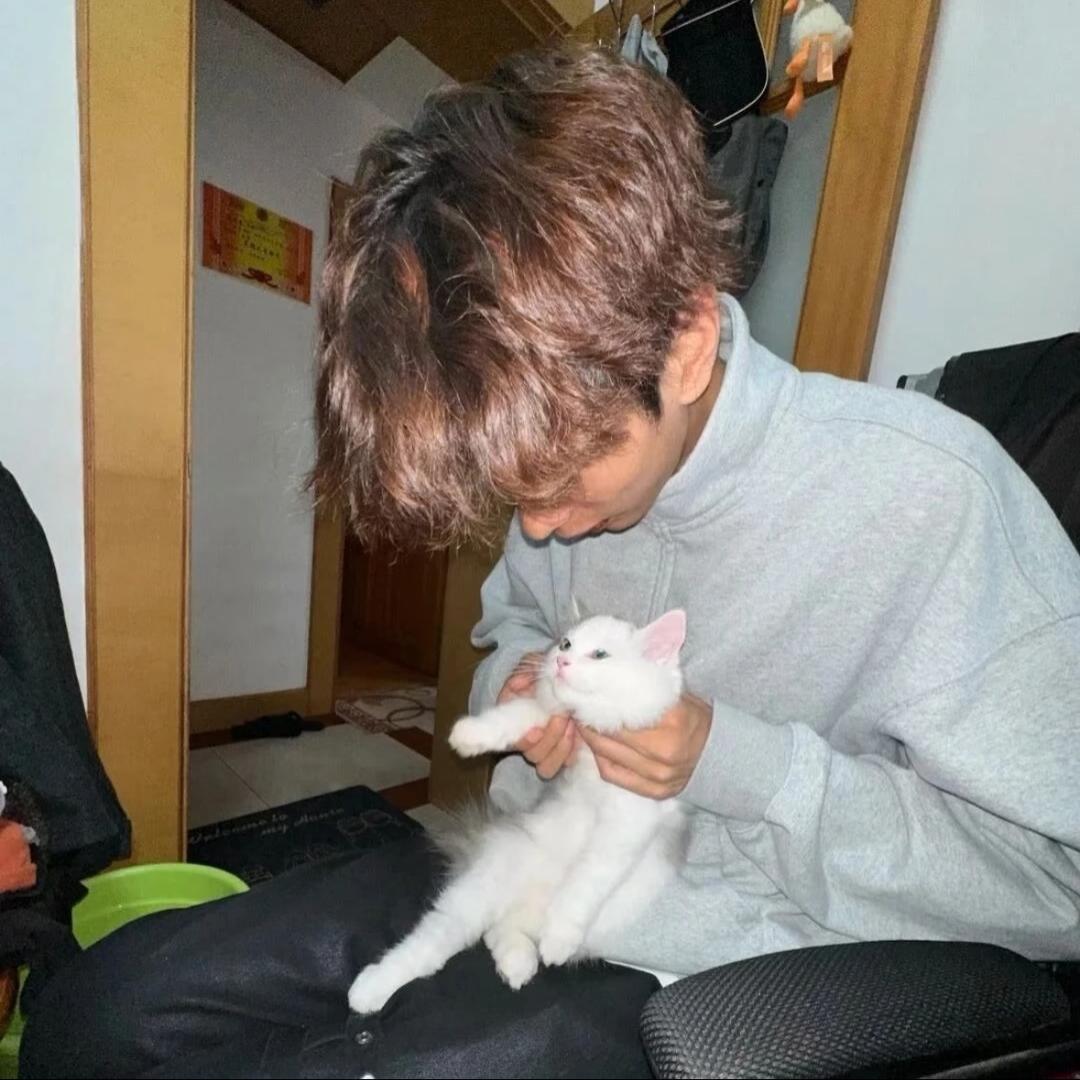 睡个好觉