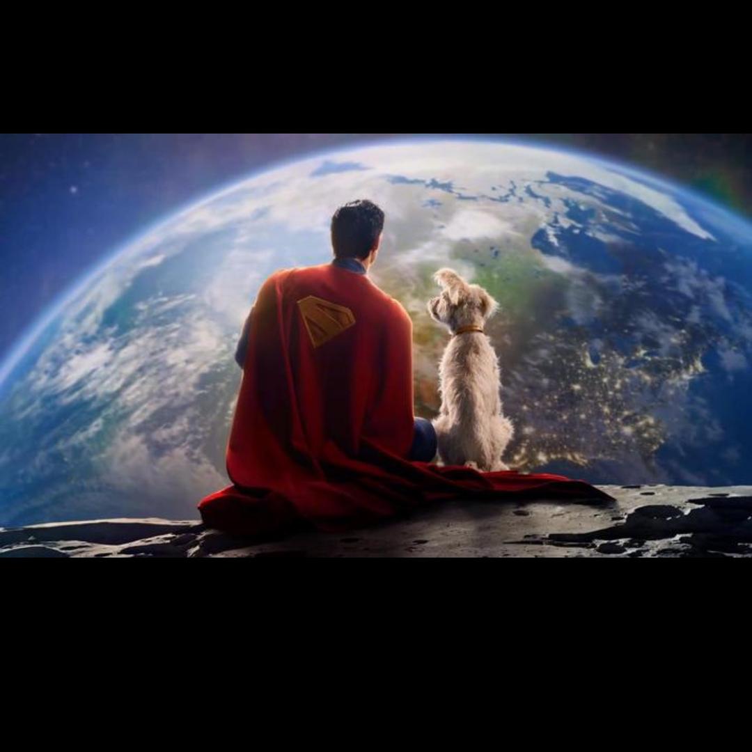 偶买噶潮玩（二店）