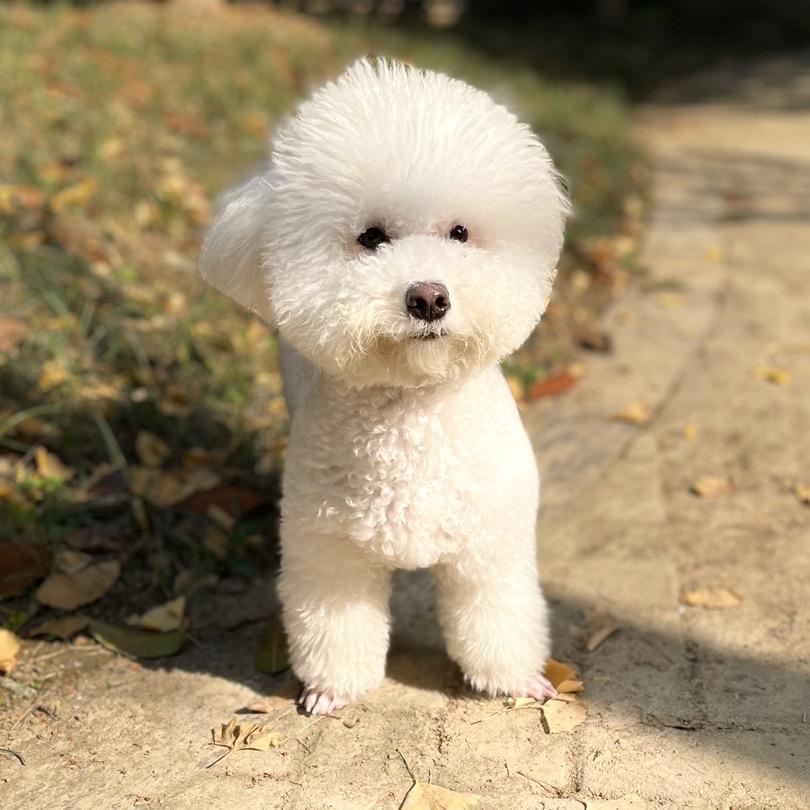 💋          小胖妹Drems`