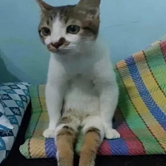 网恋被骗两千五