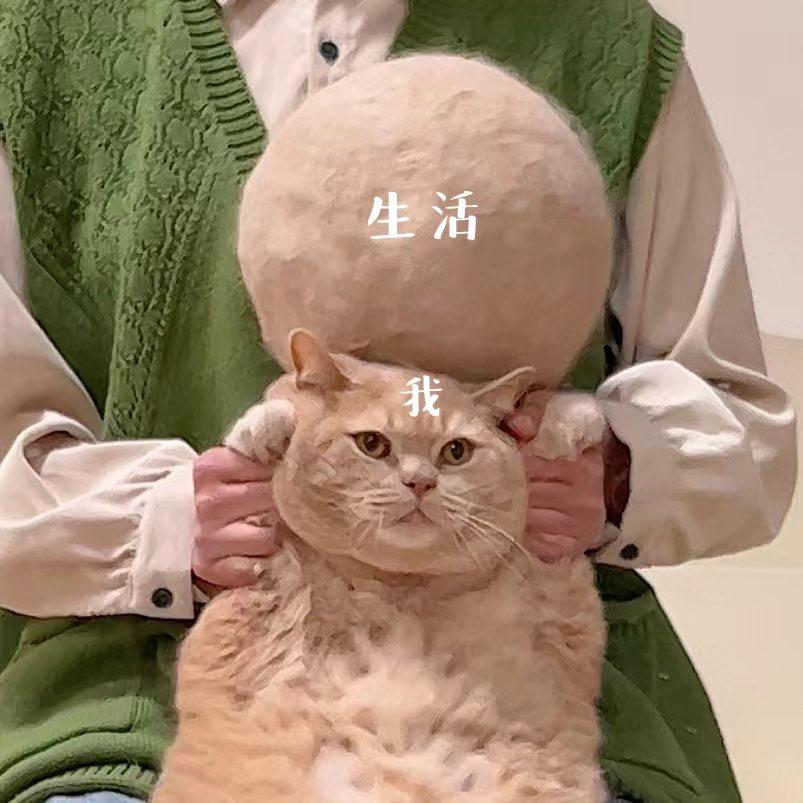 多多和它的球球
