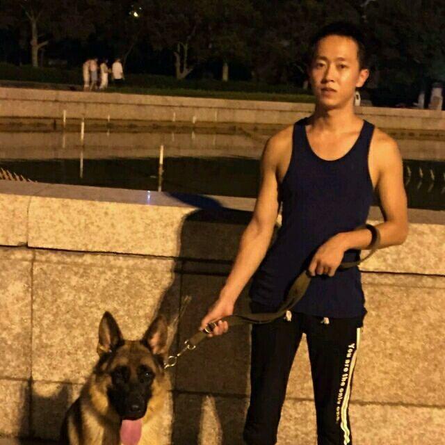 马犬繁育训练基地 理想宠物