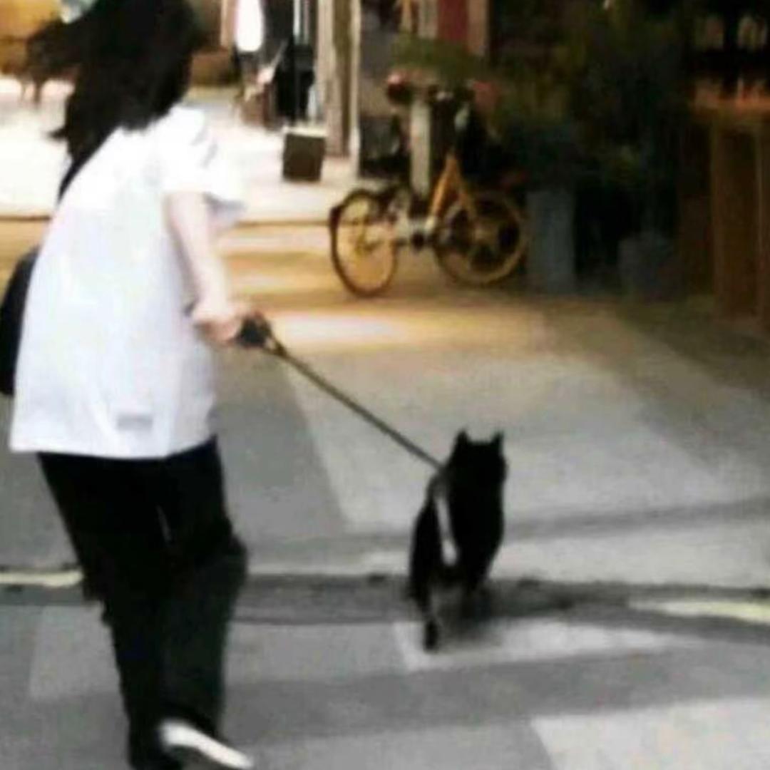 给你写情书