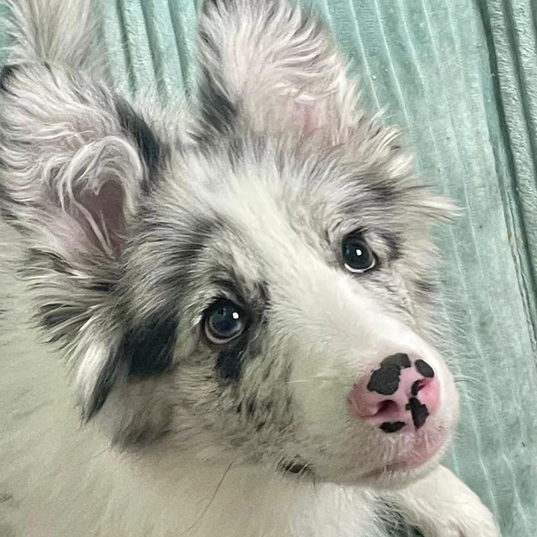 Minnie的成长日记