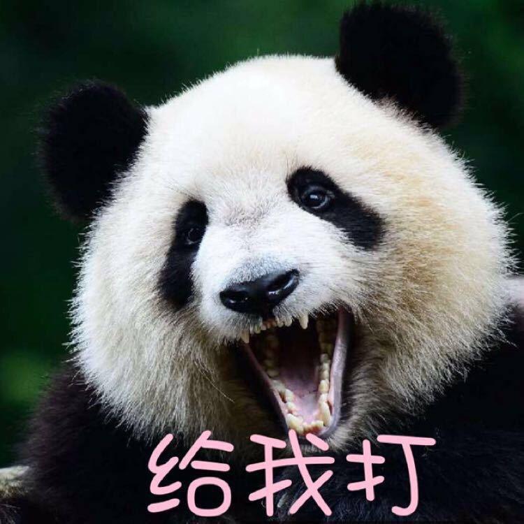 陇夏不知道头像