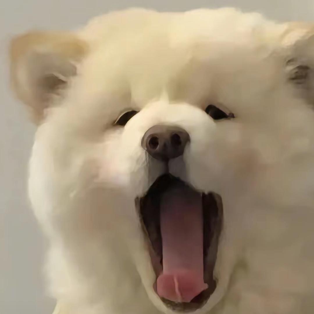 比8️⃣卜哇哈哈