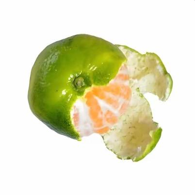 豆本豆.