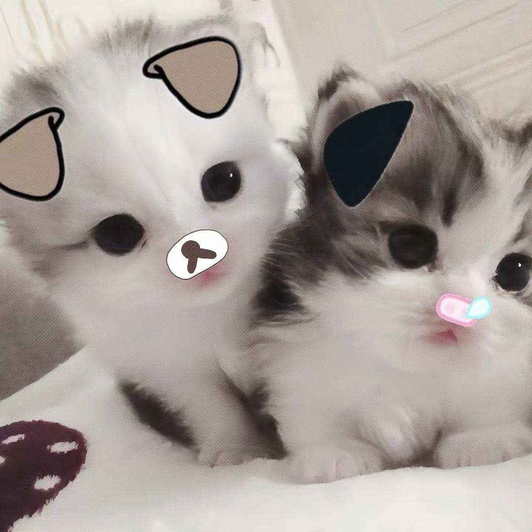 破罐子泼摔