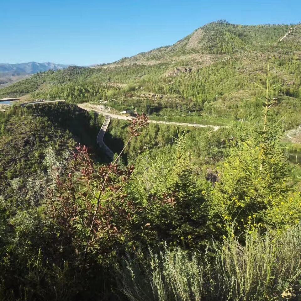 ding北京西城区