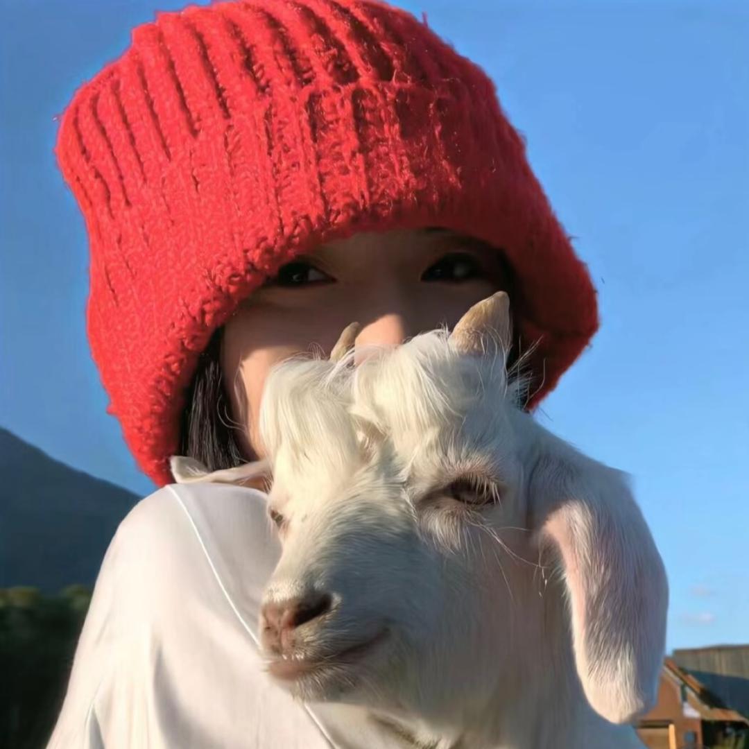 睡不醒。