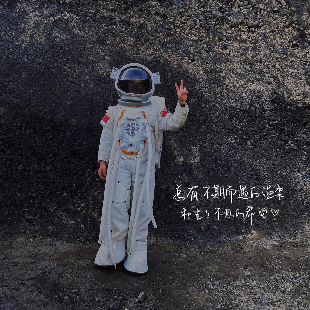 做手机的小🐒