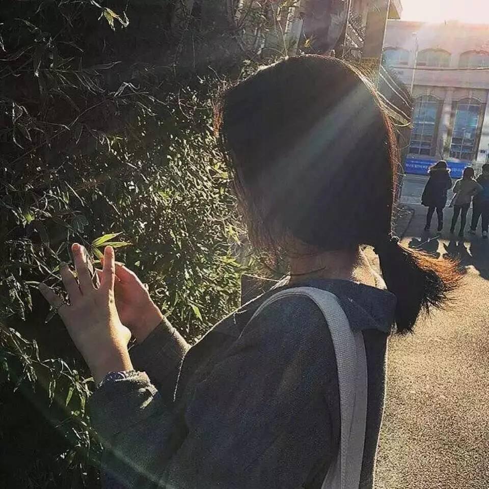 @你是我的太阳🌞