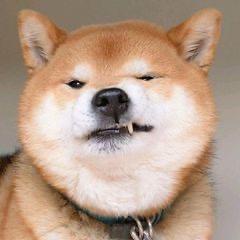 👑相  金公主🧚‍♂️