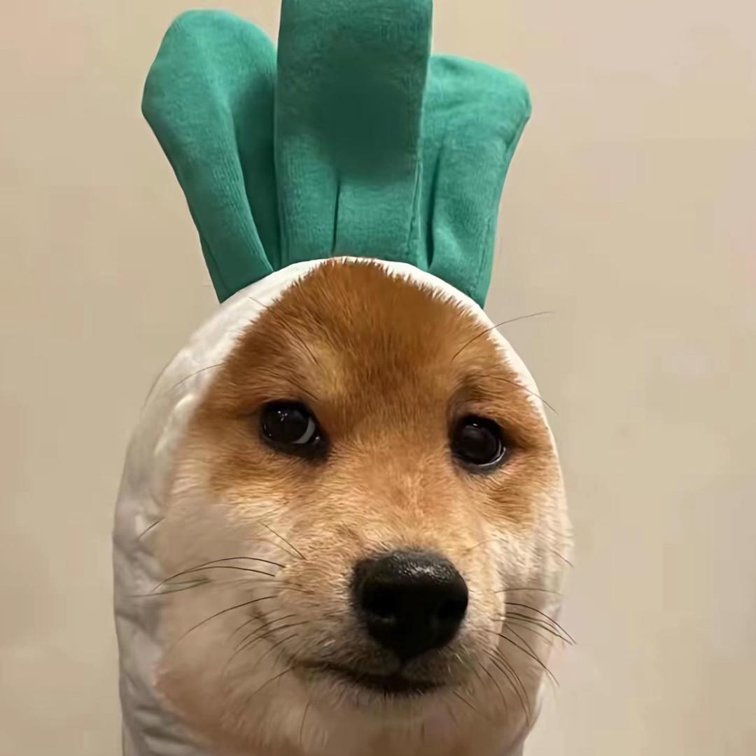（富贵）