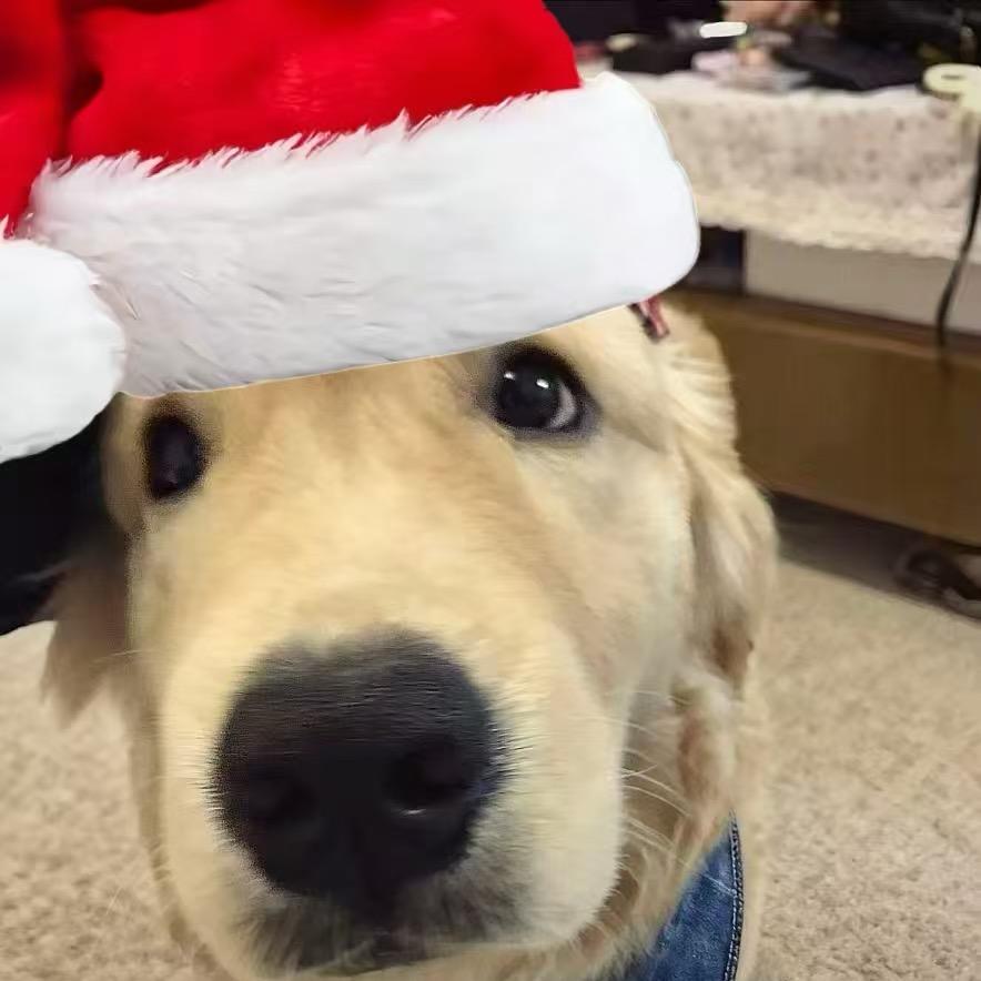 7️⃣ ￴￴￴ ￴￴￴