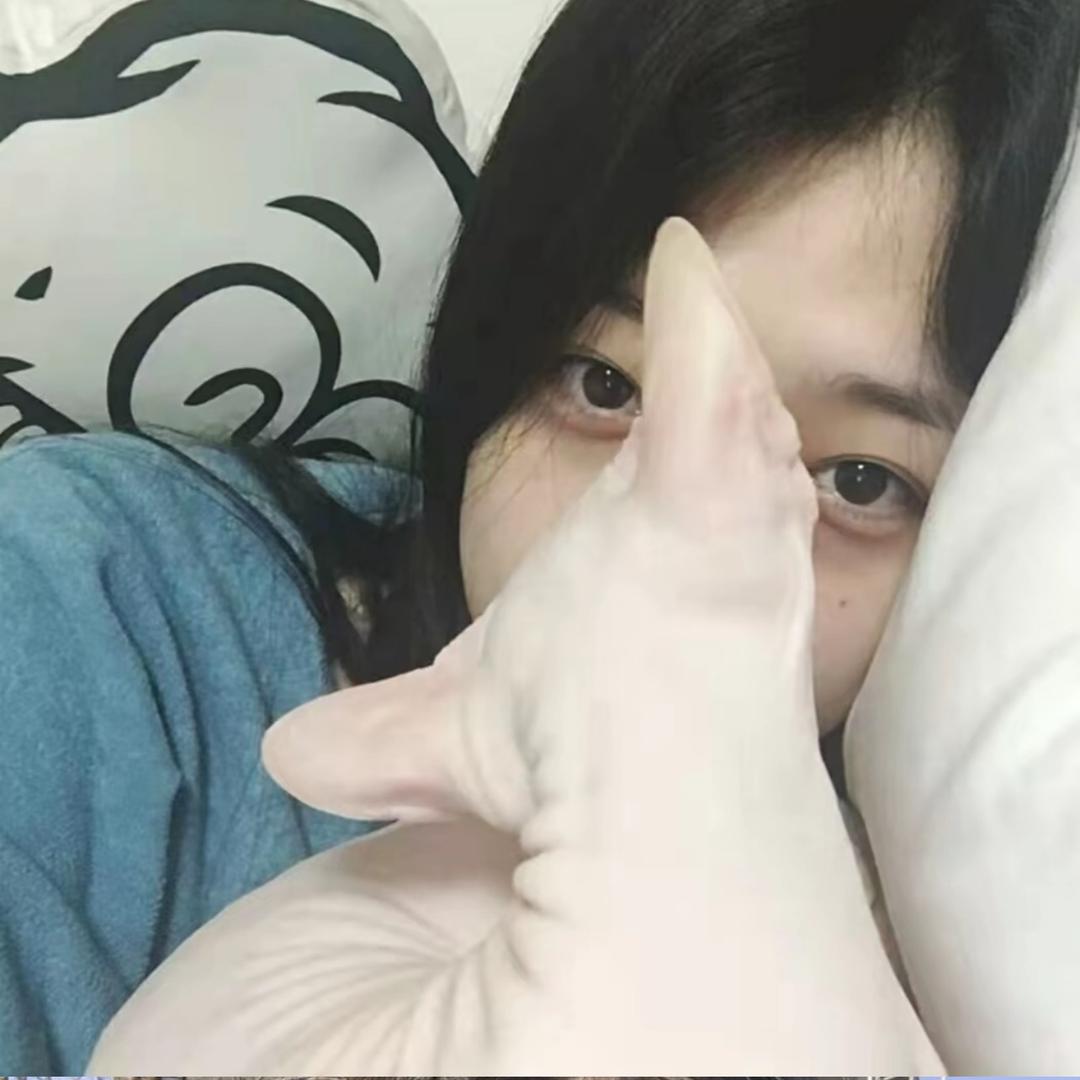 小雨