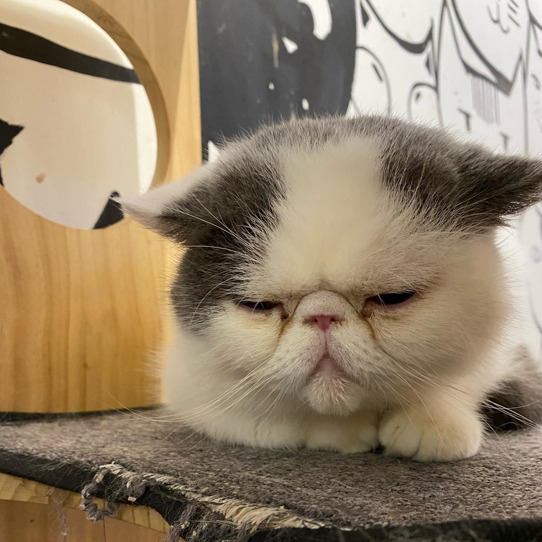 没坐-真的没坐啊