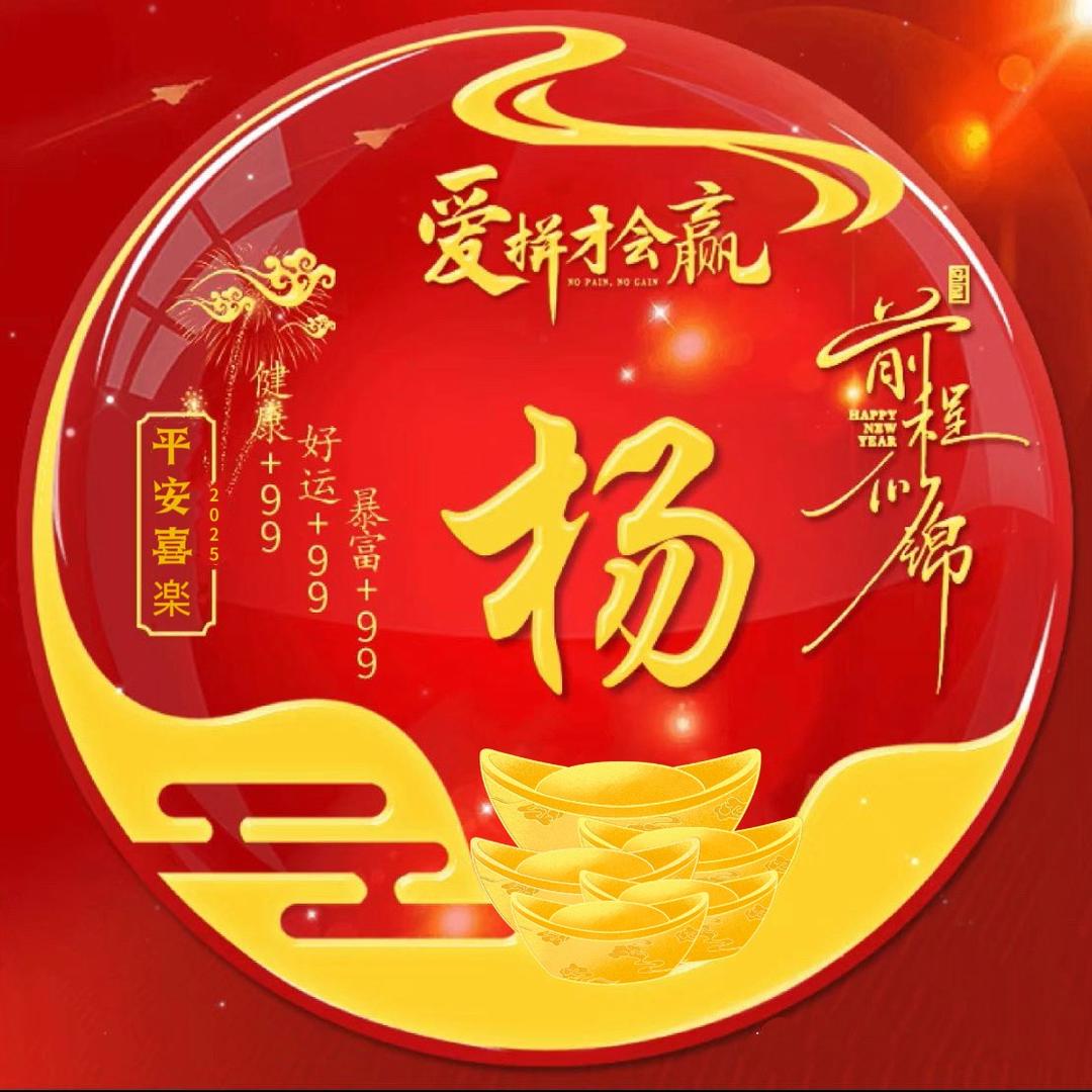 杨超群（快乐¥¥养鸽）