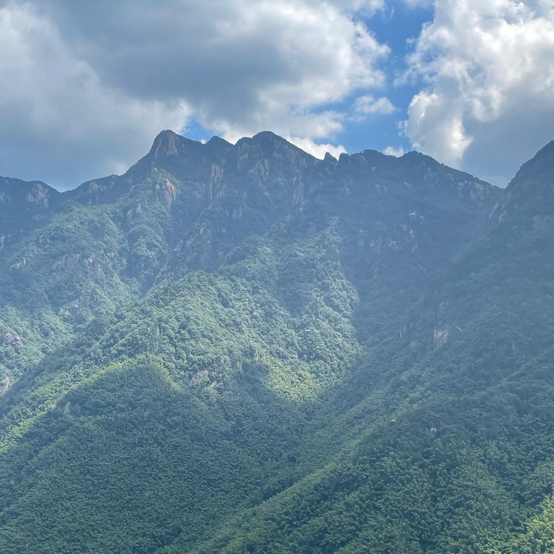 大脑袋好物分享jiofucen