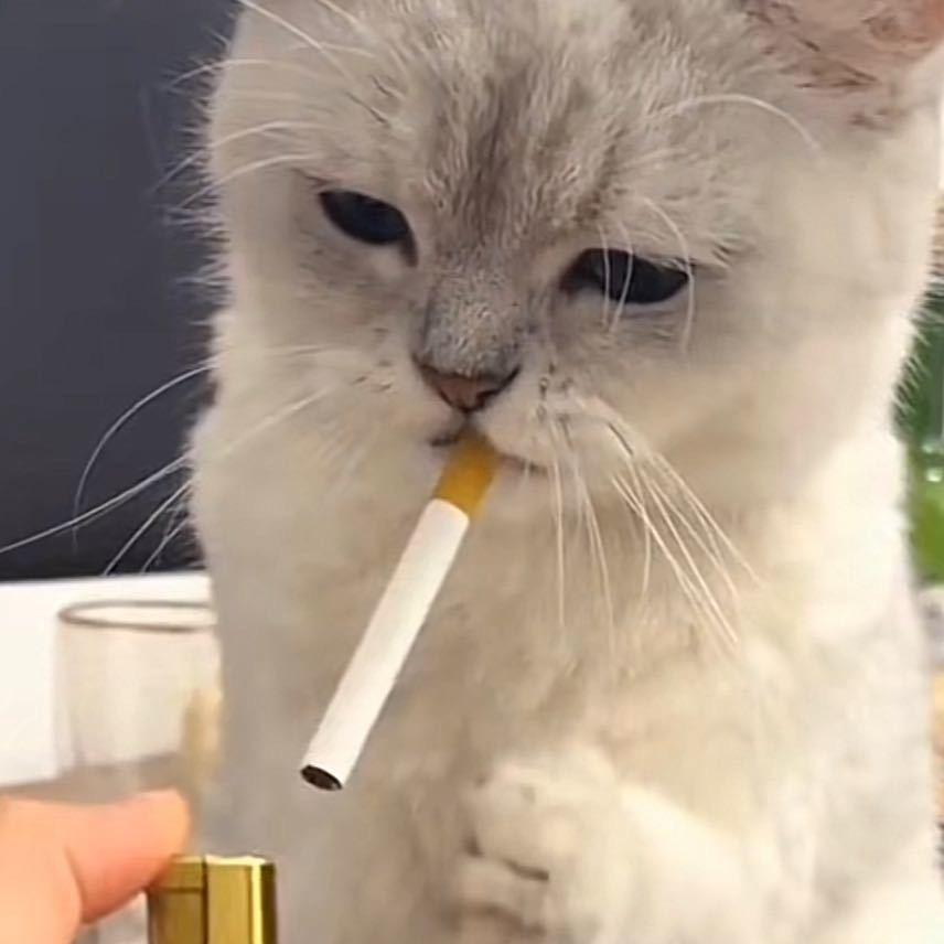 不羁放纵一次