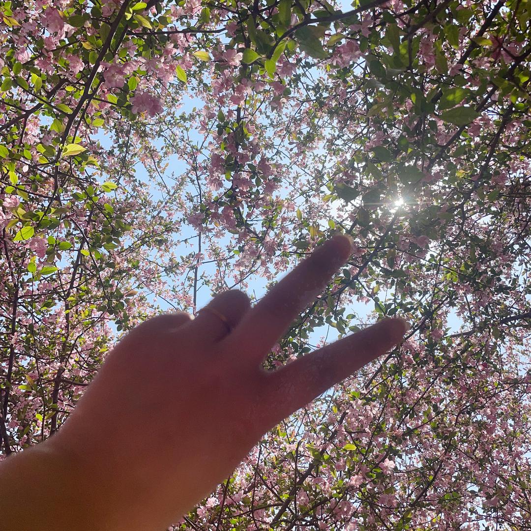 打工人👩‍💼长城门业