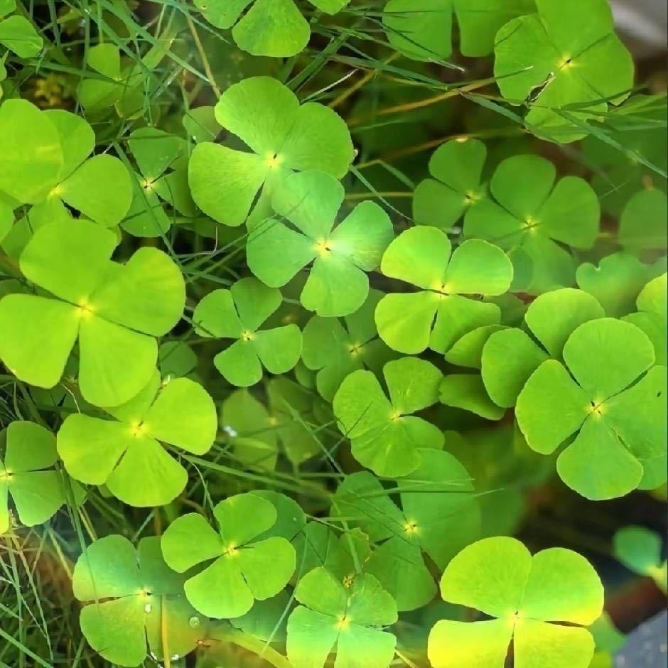 其中一个小网友