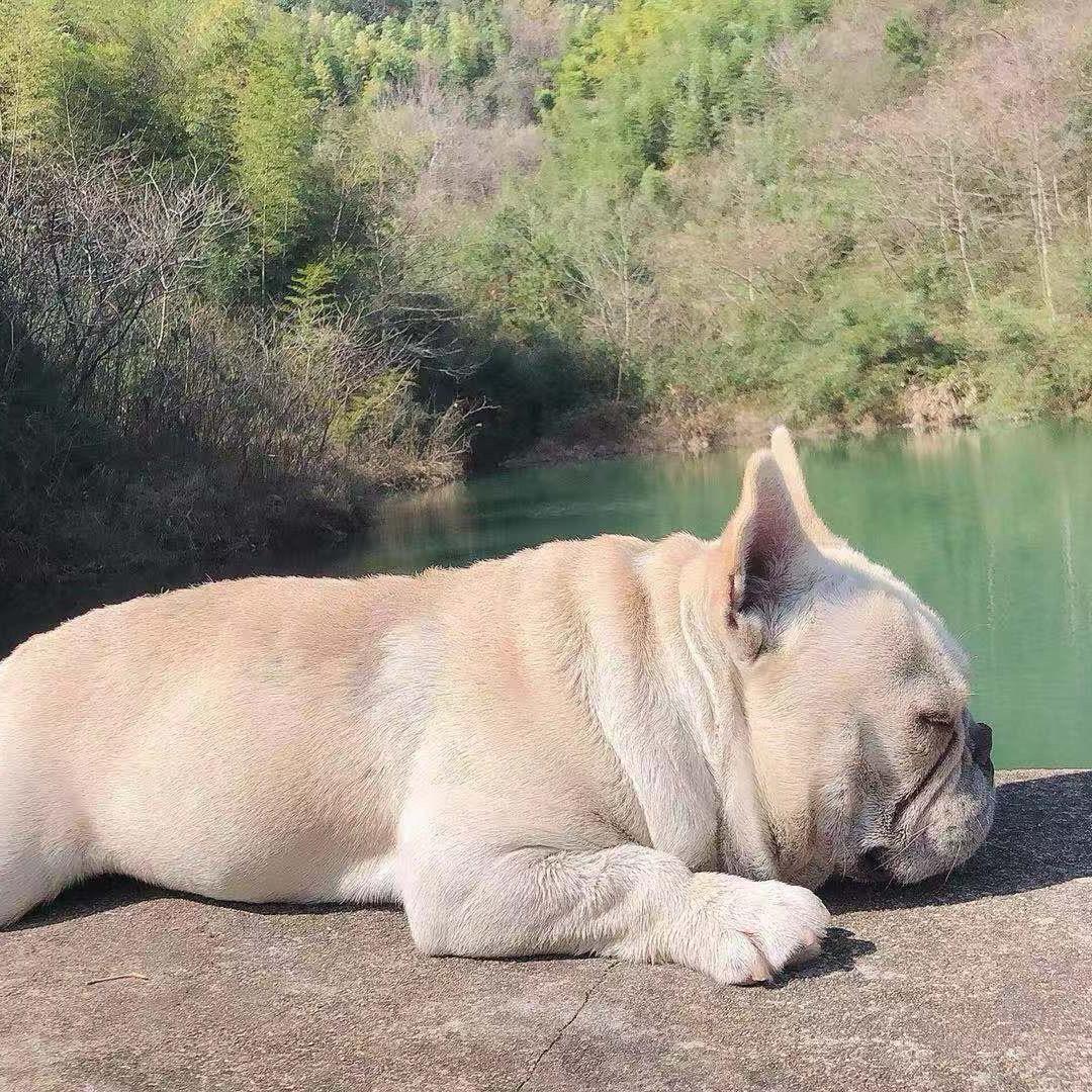旺仔宝宝
