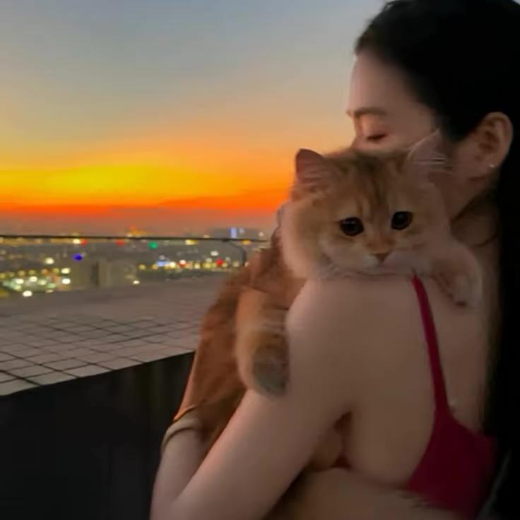 ㅤ ㅤ  ㅤ ㅤㅤㅤ