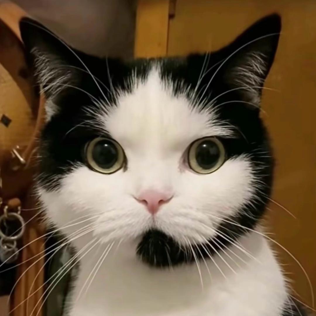 脆皮爆汁pingu