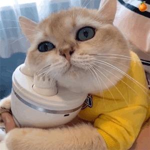 纯情少女服装店