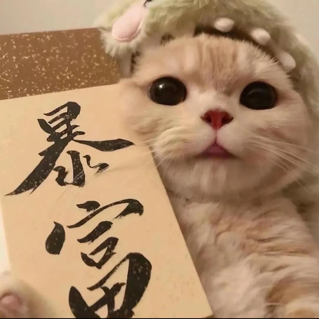 我家抽象的牛油果🥑
