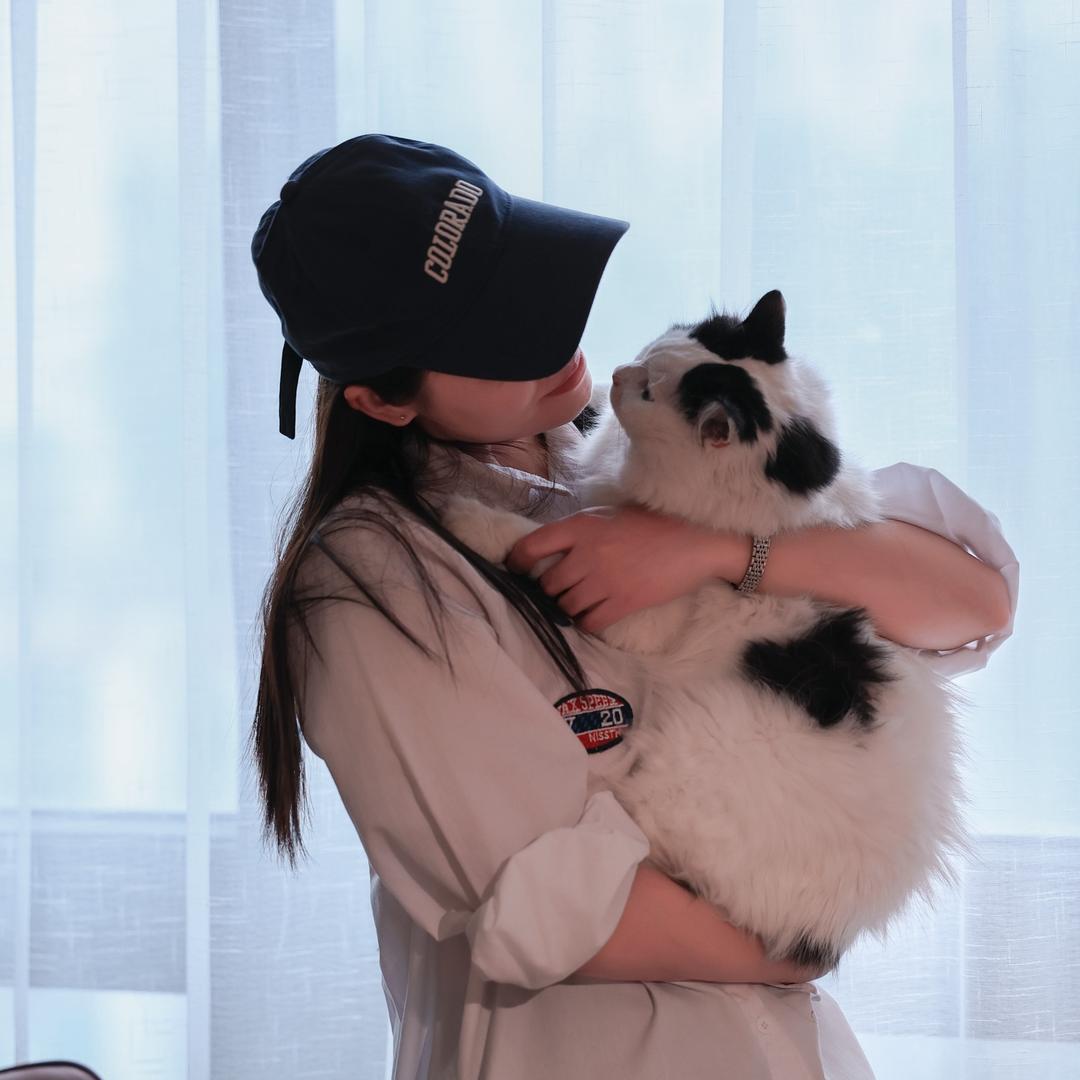 六只小猪咪