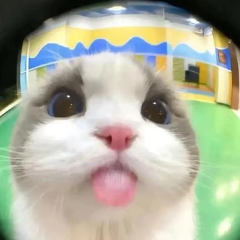 A   .