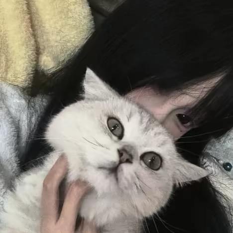 ~