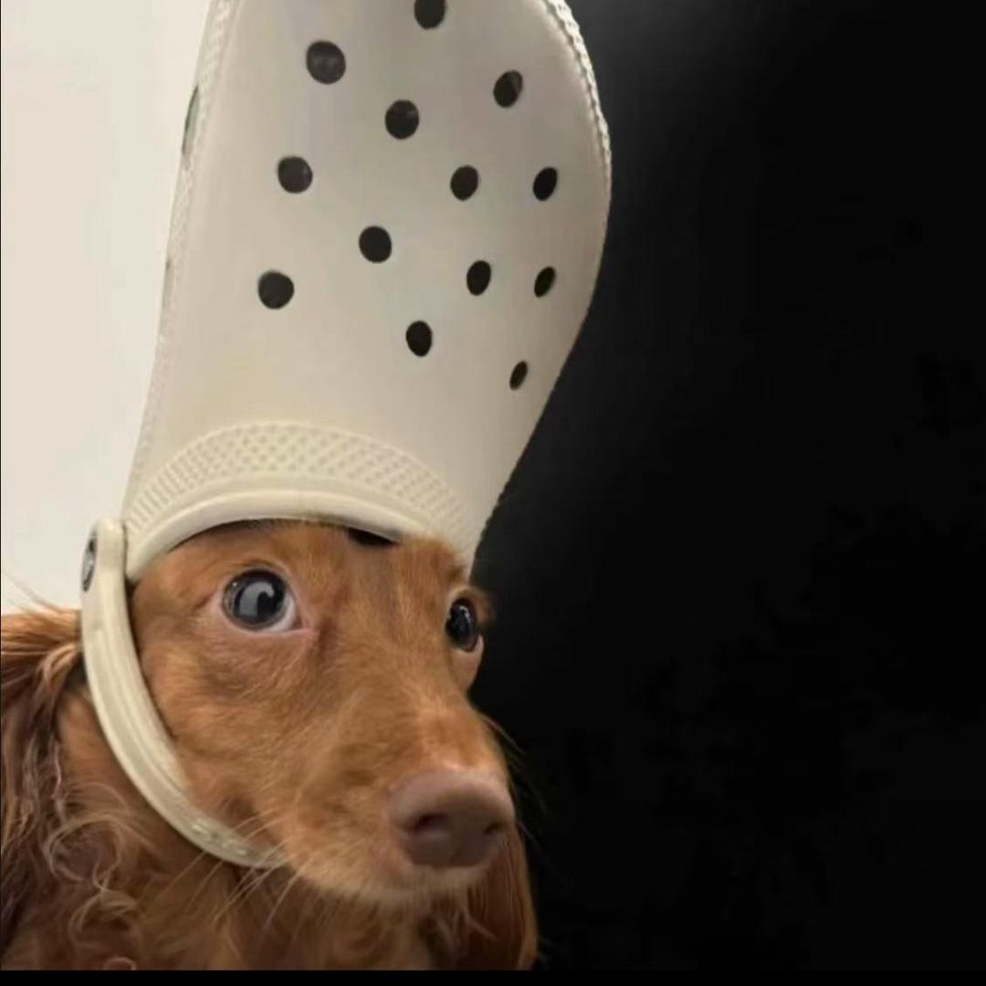 赵航