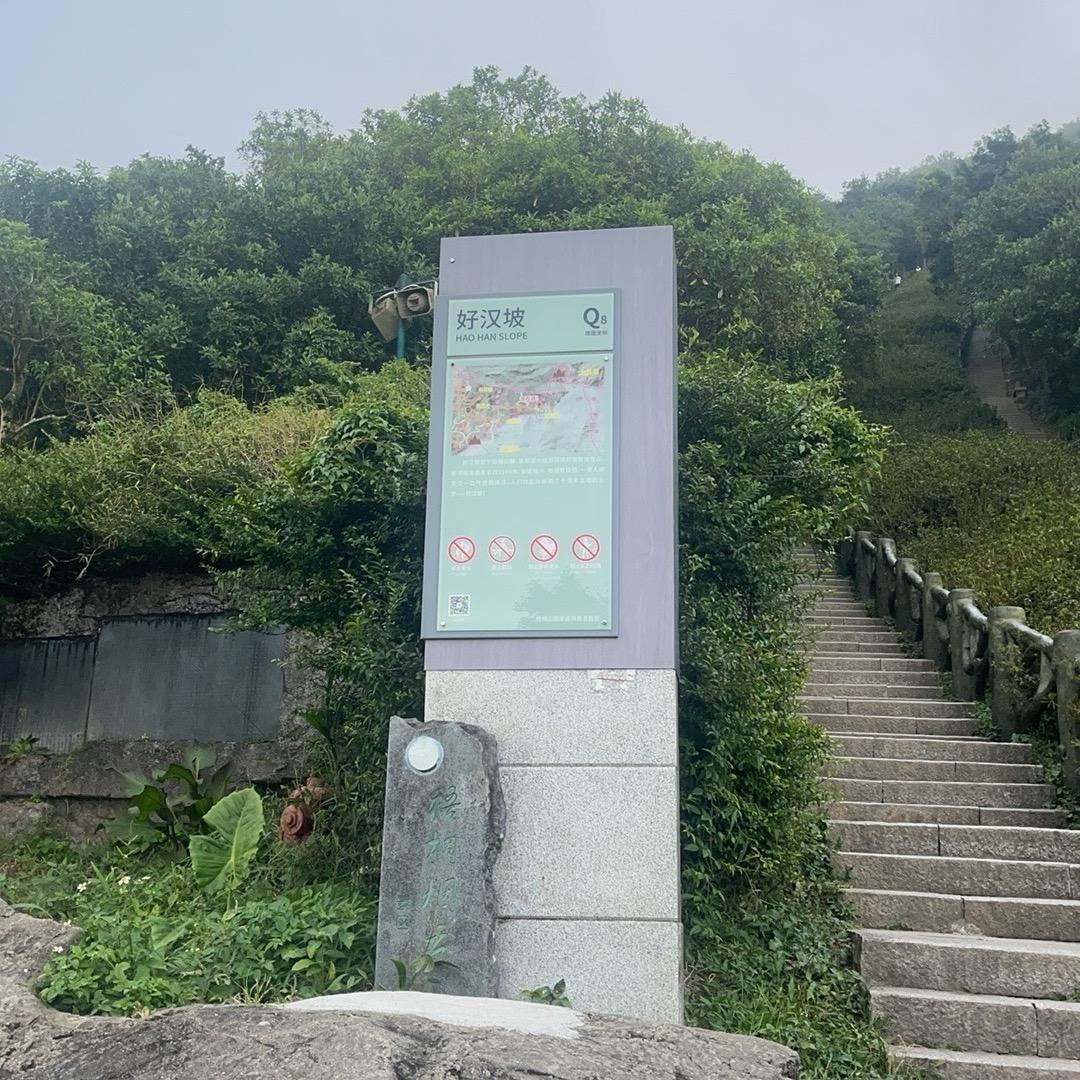 抬起头亲您，低下头吻祢