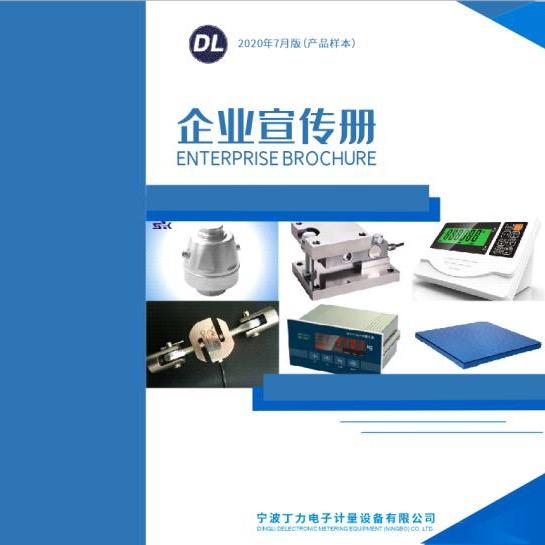 宁波丁力电子计量设备有限公司