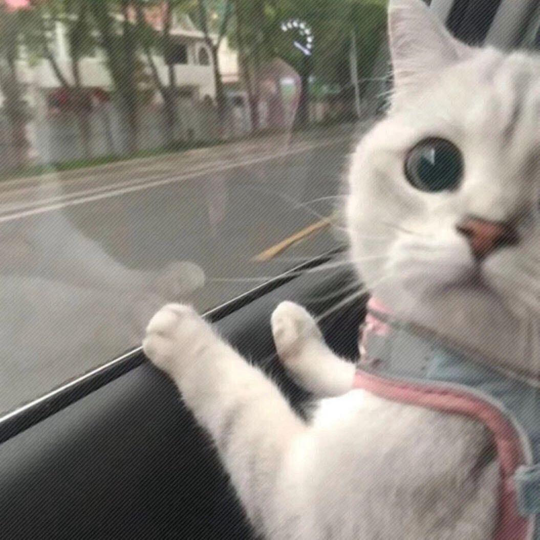 超级无敌大王子