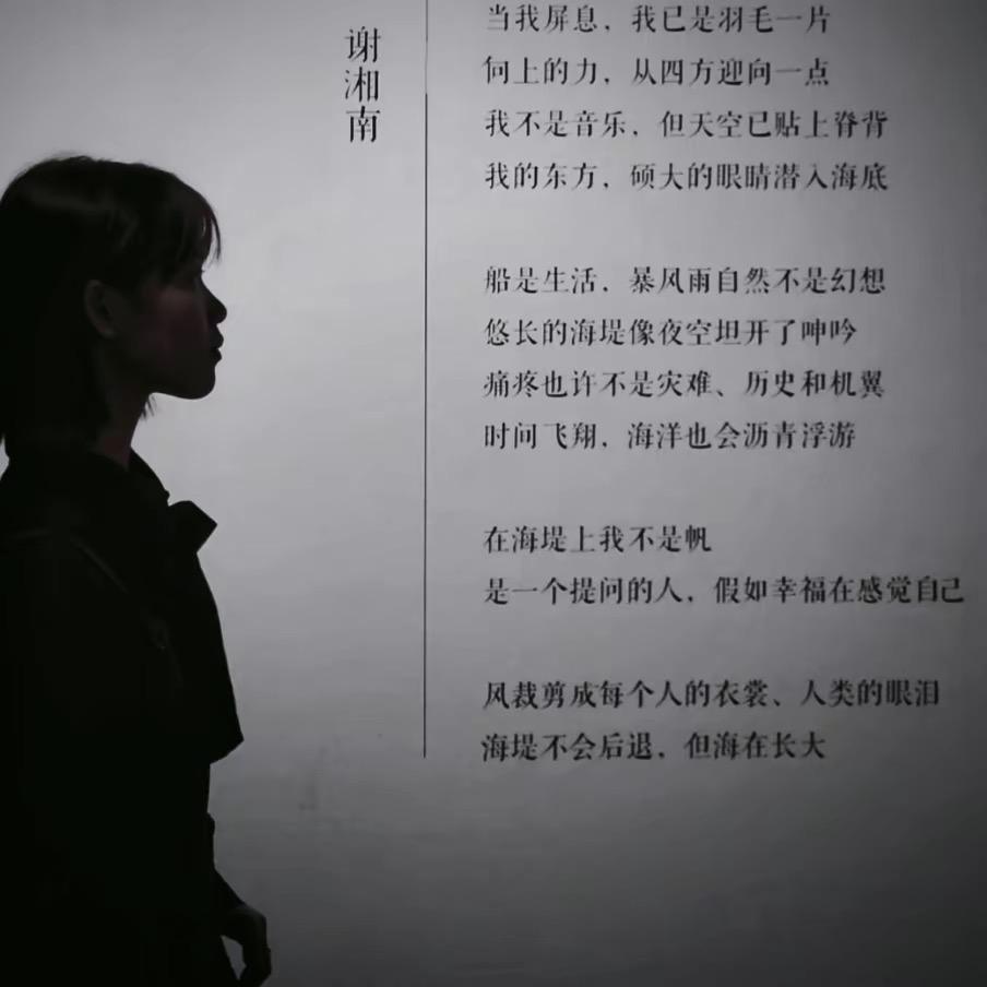 ee饱饱头像