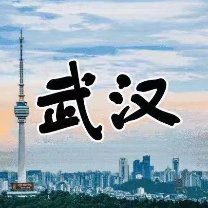 武汉企业解说
