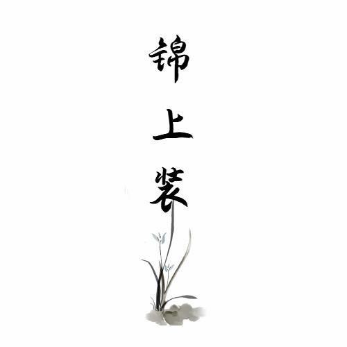 锦上装2号店